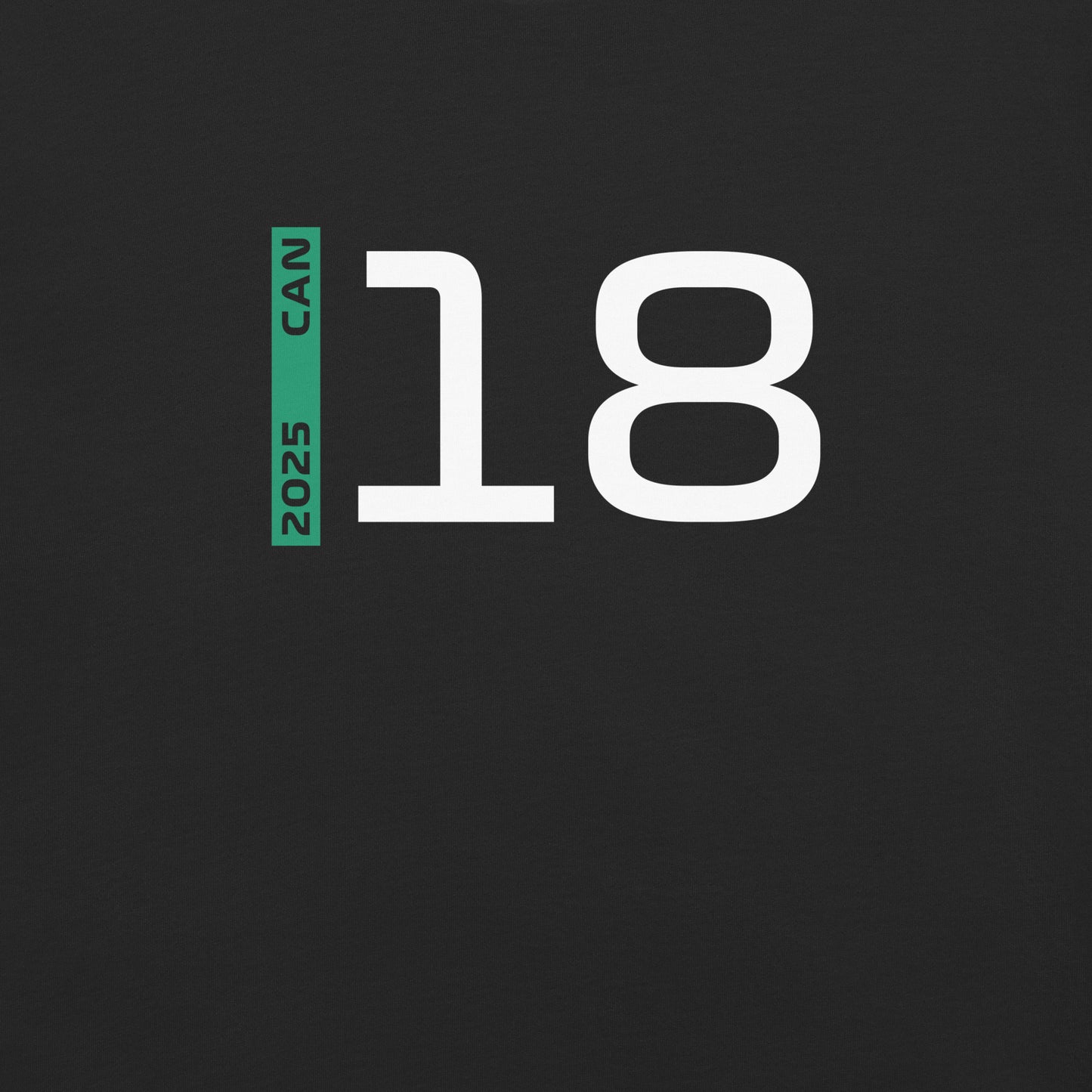 #18 F1 Driver Lance Stroll Unisex T-Shirt in Black